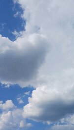 20260519_172318.jpg
