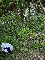 IMG_0308.jpeg