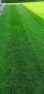 20260520_143920.jpg