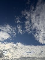 IMG_7510.jpeg