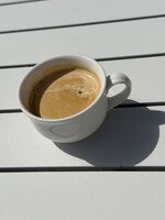 IMG_7555.jpeg