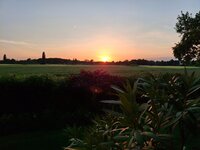 20260521_210339.jpg
