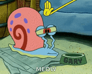 1779396973120.gif