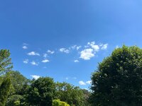 IMG_3094.jpeg