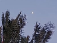 20260423 (119).jpg