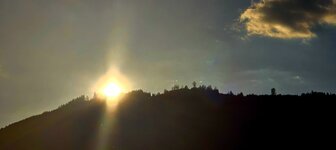 20260522_192123.jpg