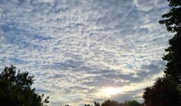 20260522_191653.jpg