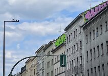 IMG_4169.jpeg