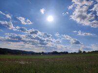 IMG_20260523_174254.jpg