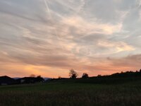 IMG_20260522_203505.jpg