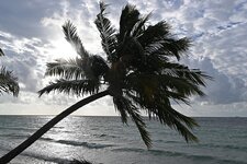DSC_6371.jpg