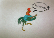 20260524_081733.gif