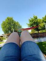 IMG_20260524_100753.jpg