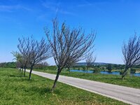 IMG_20260524_104817.jpg