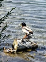 IMG_20260524_150244.jpg