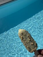 IMG_7676.jpeg