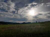 IMG_20260524_184659.jpg