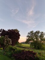 20260524_211920.jpg