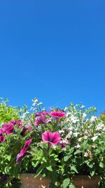20260524_094636.jpg