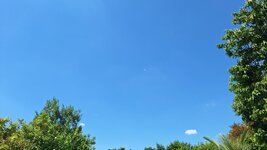 20260524_120742.jpg