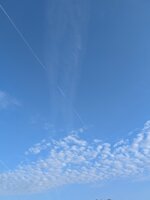1000008291.jpg