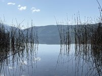 IMG_8795.jpeg