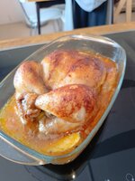 IMG_20260525_124425.jpg