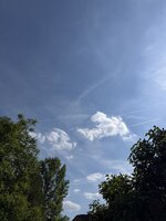 IMG_7978.jpeg