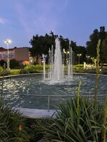 IMG_2969.jpeg