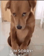 sorry-sad.gif sorry-sad.gif
