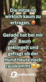 IMG_4333.jpeg