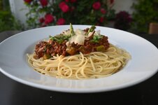 Bolognese-2605-1.jpg Bolognese-2605-1.jpg