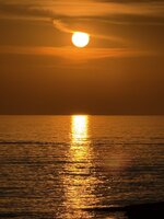IMG_3996.jpeg