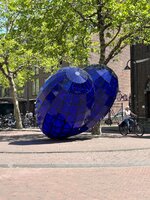 IMG_2265.jpeg