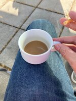 IMG_2455.jpeg