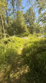 IMG_5661.jpeg