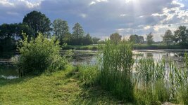 20260527_180853.jpg