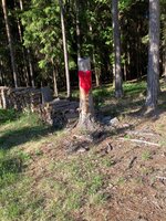 IMG_0192.jpeg
