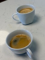 IMG_8084.jpeg