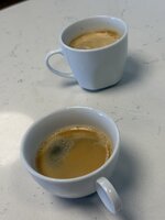 IMG_8084.jpeg