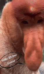 20260529_170934.gif