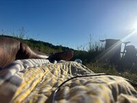 IMG_3929.jpeg
