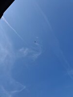 20260529_095055.jpg