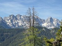 IMG_3106.jpeg