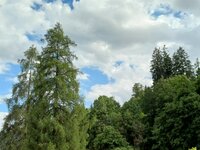 20260530_172713.jpg