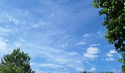 20260531_105631.jpg