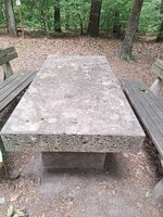 20260531_111038.jpg