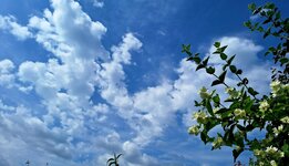 20260531_111038.jpg