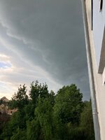IMG_2466.jpeg