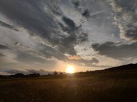 IMG_20260530_200851.jpg